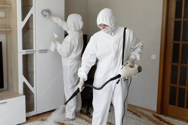 Best Fast Mold Removal  in Friendship Heights Village, MD