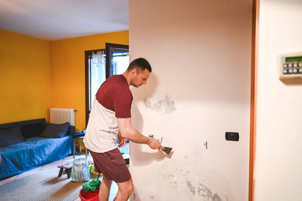 Best Mold Damage Repair  in Friendship Heights Village, MD