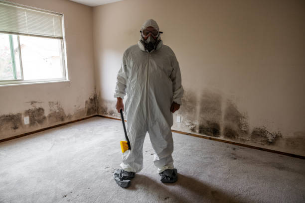 Certified Mold Removal in Friendship Heights Village, MD