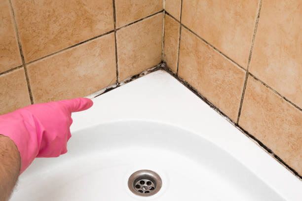 Best Mold Testing  in Friendship Heights Village, MD